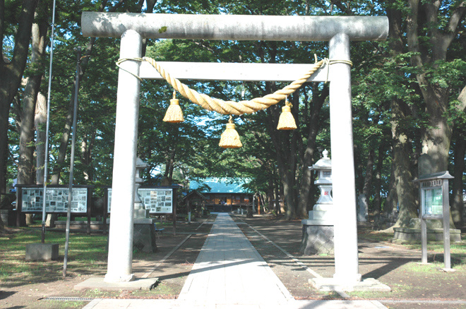 総社神社の鳥居から社殿を望む風景
